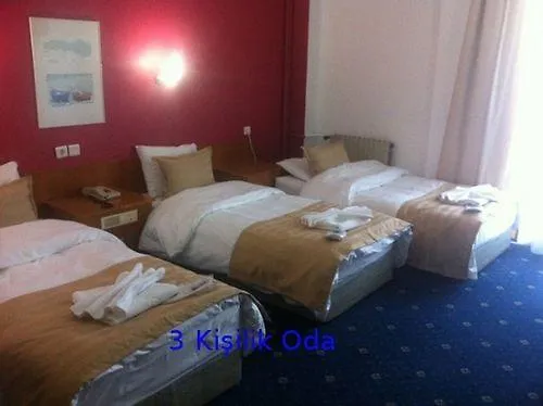 Tanik Hotel Σμύρνη 3*,