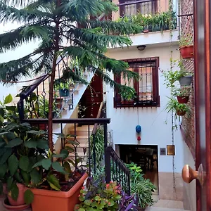 Sphendone İstanbul